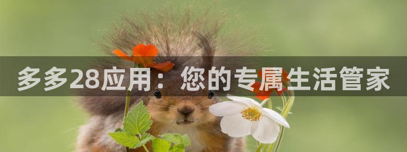 500彩票网集团官网：多多28应用：您的专属生活管家