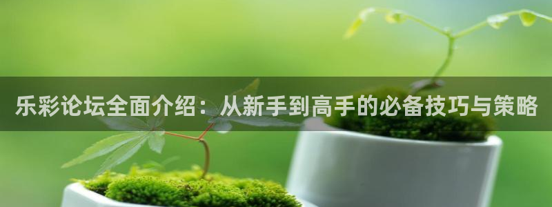 500彩票网集团：乐彩论坛全面介绍：从新手到高手的必备技巧与策略
