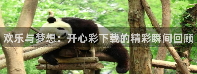 500彩票网体育免费注册入口：欢乐与梦想：开心彩下载的精彩瞬间回顾