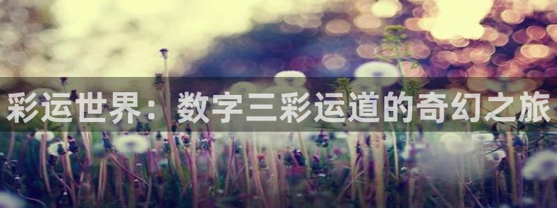 500彩票网3代理：彩运世界：数字三彩运道的奇幻之旅