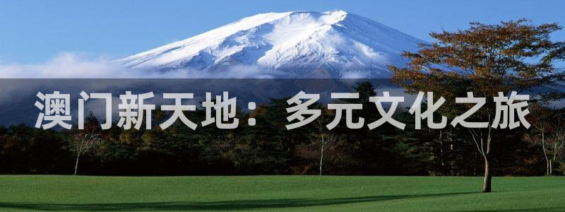 500彩票网4注册：澳门新天地：多元文化之旅