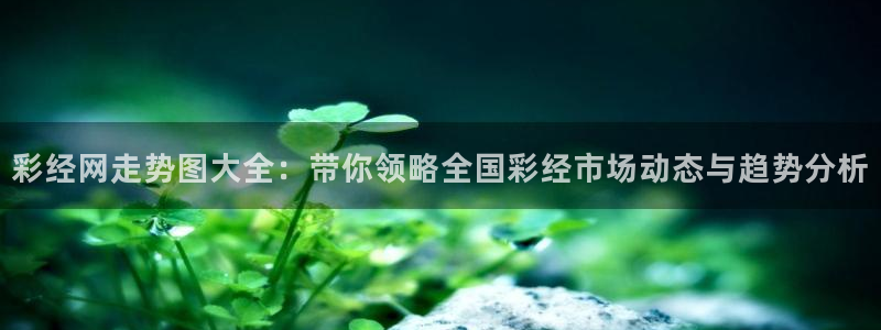 500彩票网平台招商：彩经网走势图大全：带你领略全国彩经市场动态与趋势分析