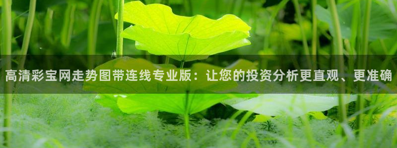 500彩票网体育凯捷平台代理：高清彩宝网走势图带连线专业版：让您的投资分析更直观